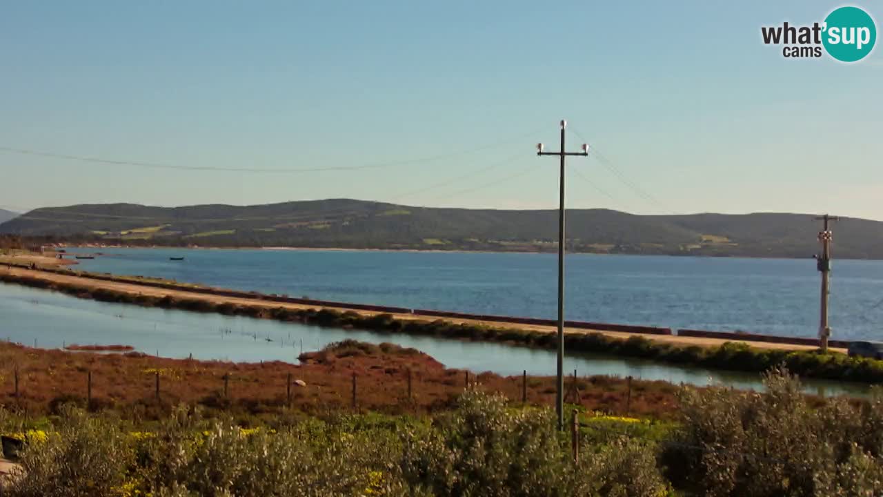 Webcam Porto Botte spiaggia | Sardegna