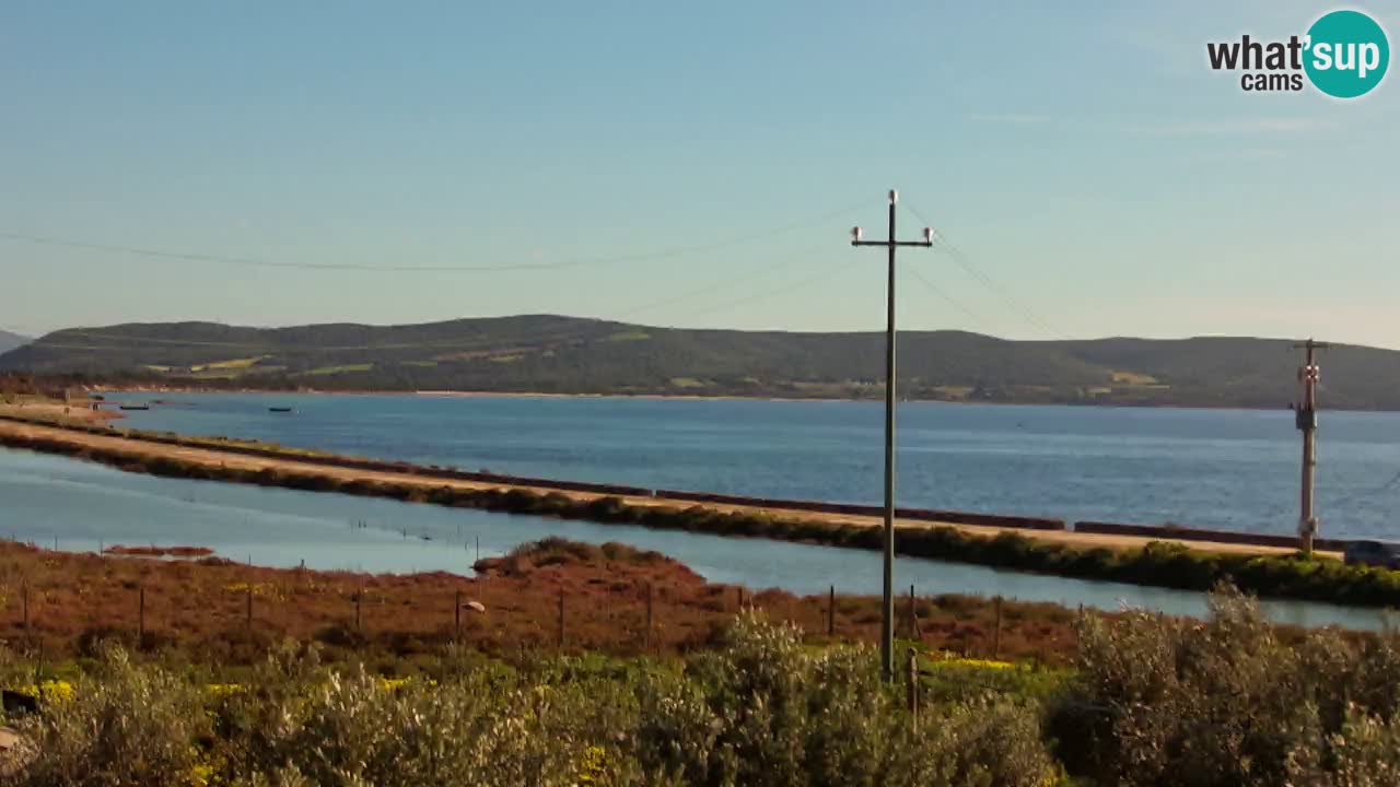 Beach Porto Botte webcam | Sardinia