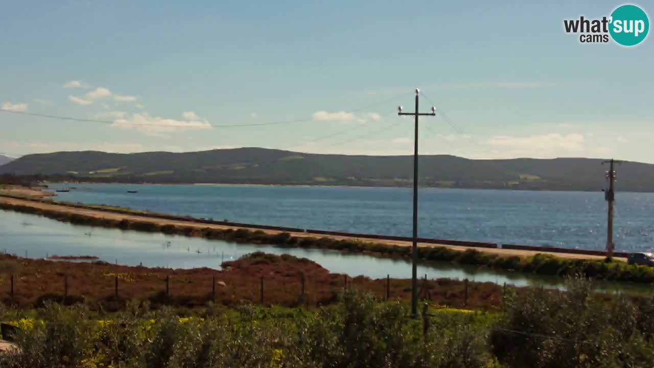 Plage Porto Botte webcam | Sardaigne