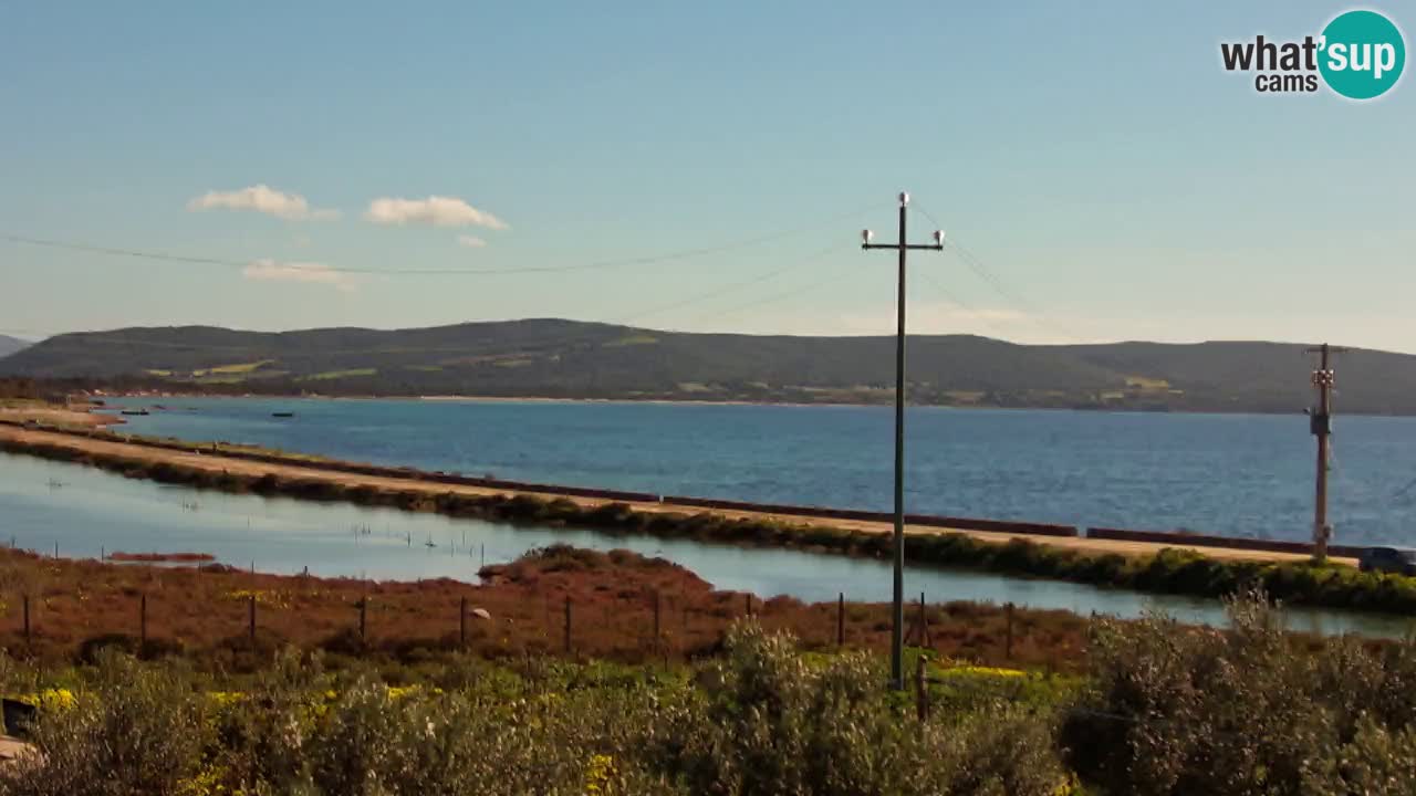 Spletna kamera Porto Botte plaža | Sardinija