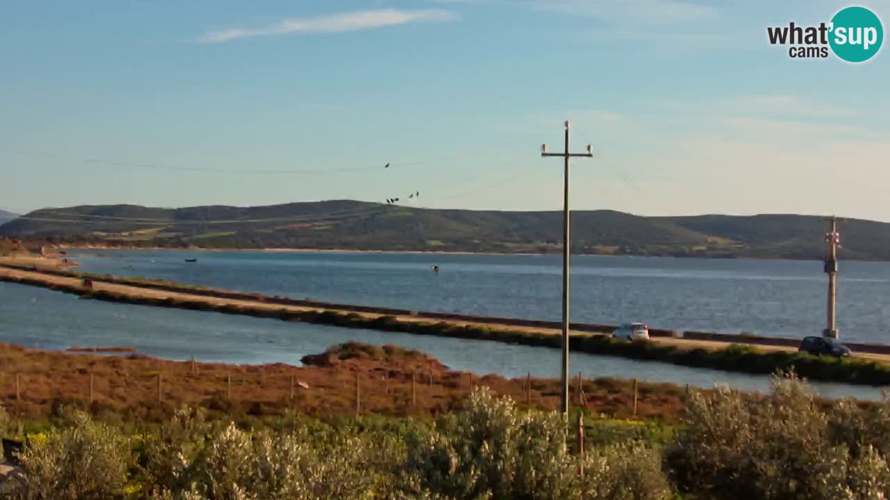 Webcam Porto Botte spiaggia | Sardegna