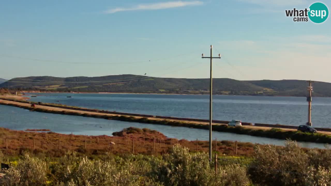 Beach Porto Botte webcam | Sardinia