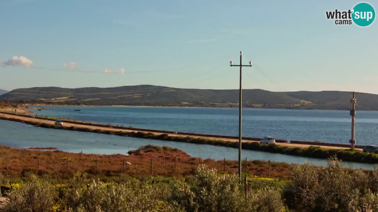 Plage Porto Botte webcam | Sardaigne