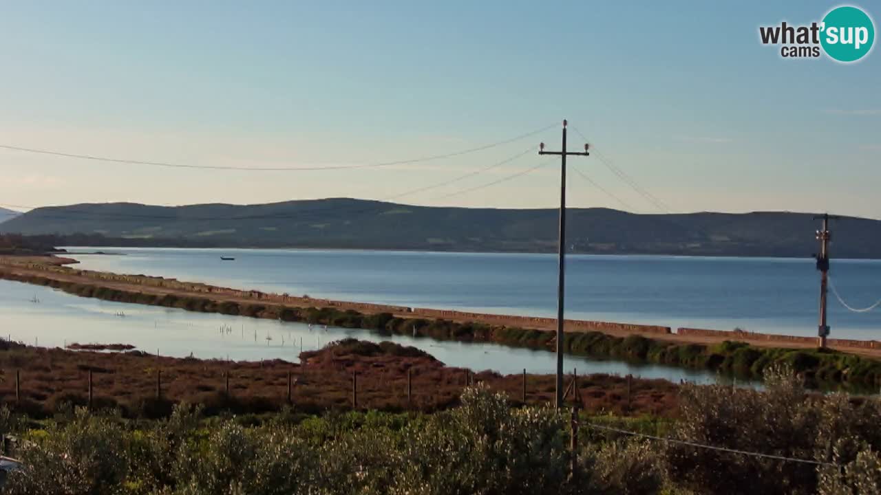 Webcam Porto Botte spiaggia | Sardegna