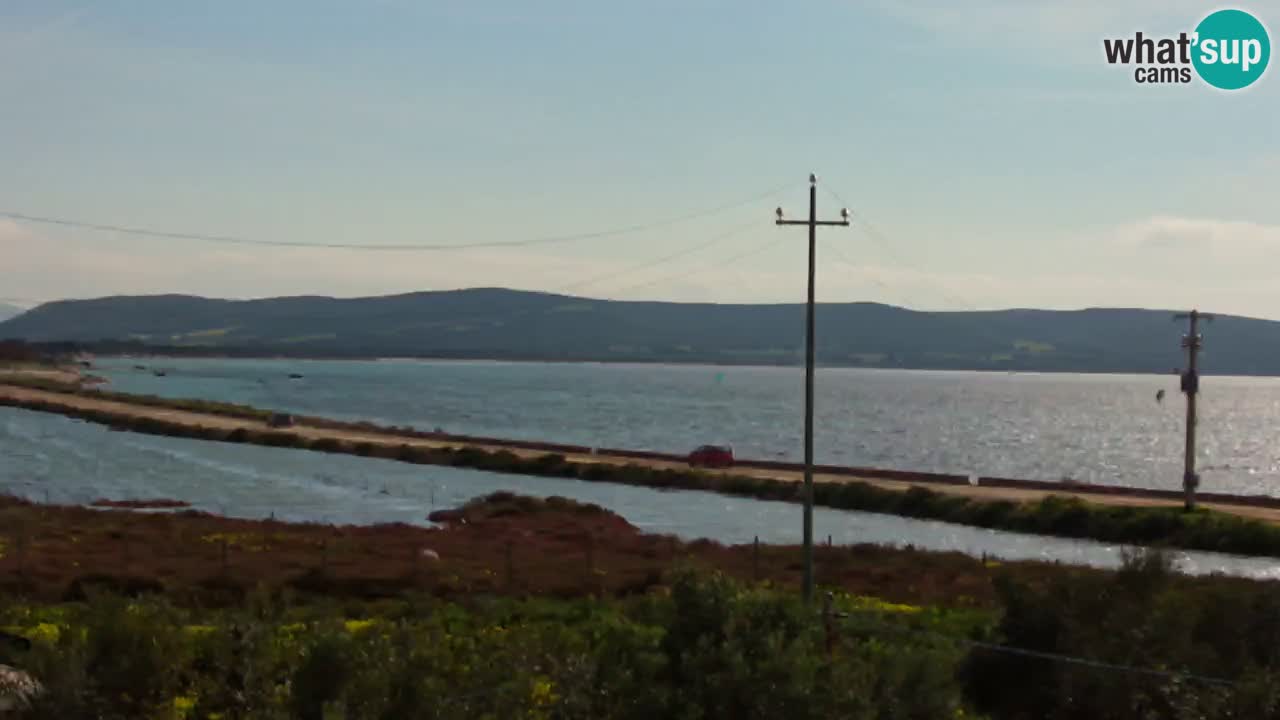 Beach Porto Botte webcam | Sardinia