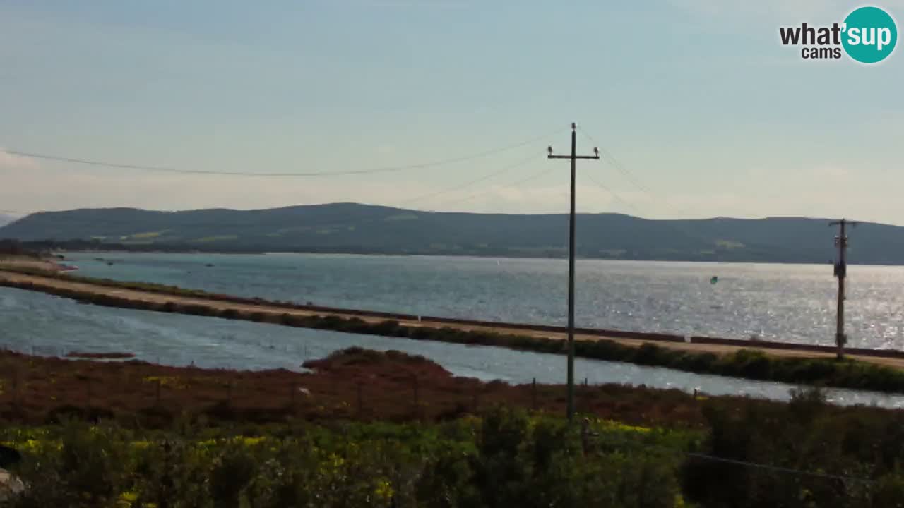 Playa Porto Botte webcam | Cerdena