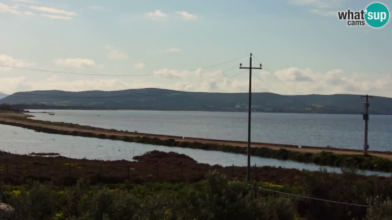 Strand Porto Botte webcam | Sardinien