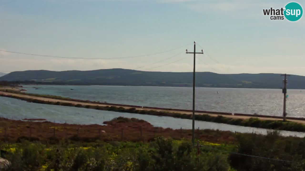 Beach Porto Botte webcam | Sardinia