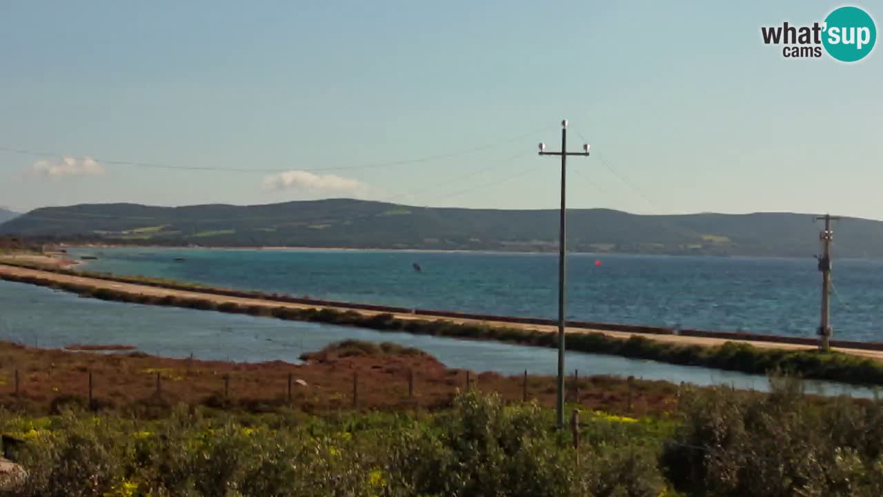 Playa Porto Botte webcam | Cerdena