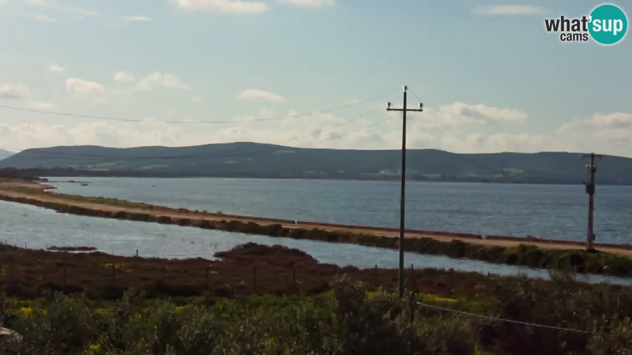 Playa Porto Botte webcam | Cerdena