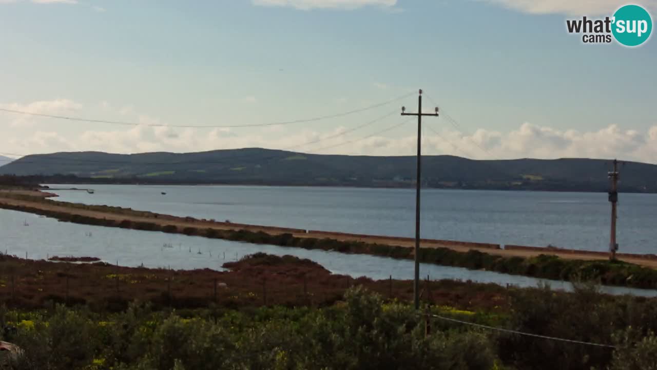 Strand Porto Botte webcam | Sardinien