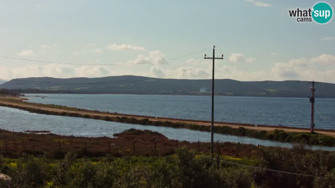 Playa Porto Botte webcam | Cerdena