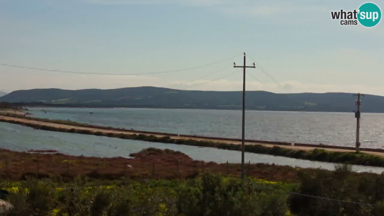 Plage Porto Botte webcam | Sardaigne