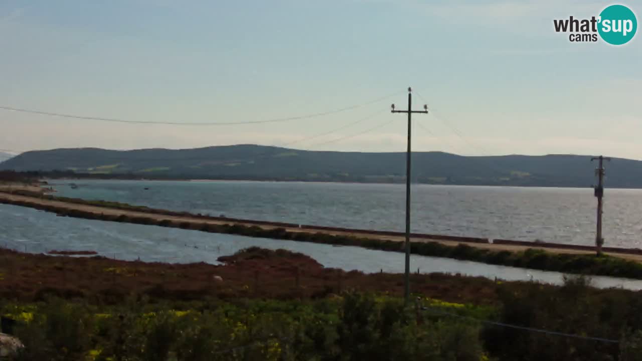 Strand Porto Botte webcam | Sardinien