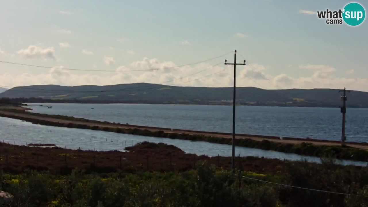 Playa Porto Botte webcam | Cerdena