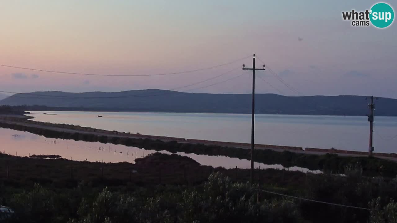 Webcam Porto Botte spiaggia | Sardegna