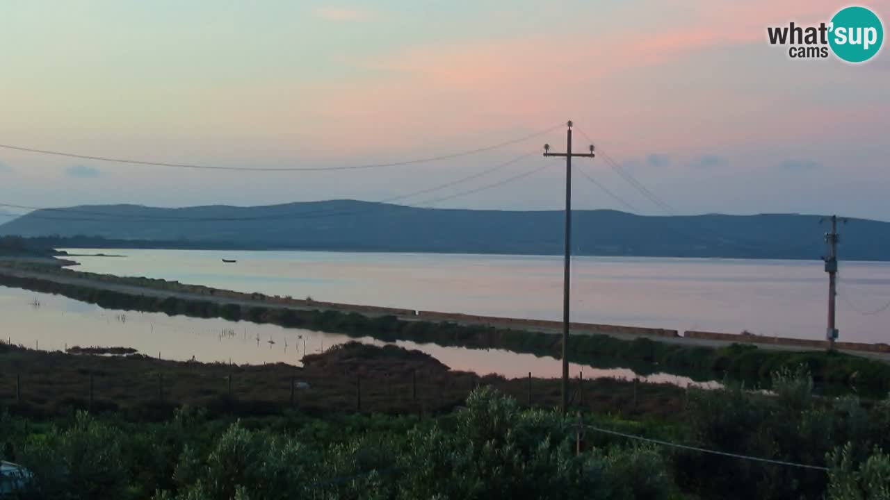 Playa Porto Botte webcam | Cerdena