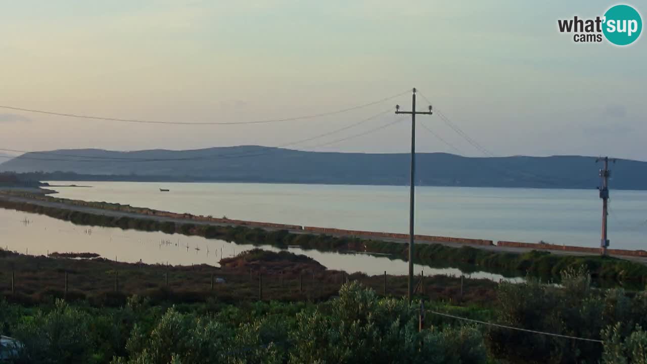 Beach Porto Botte webcam | Sardinia