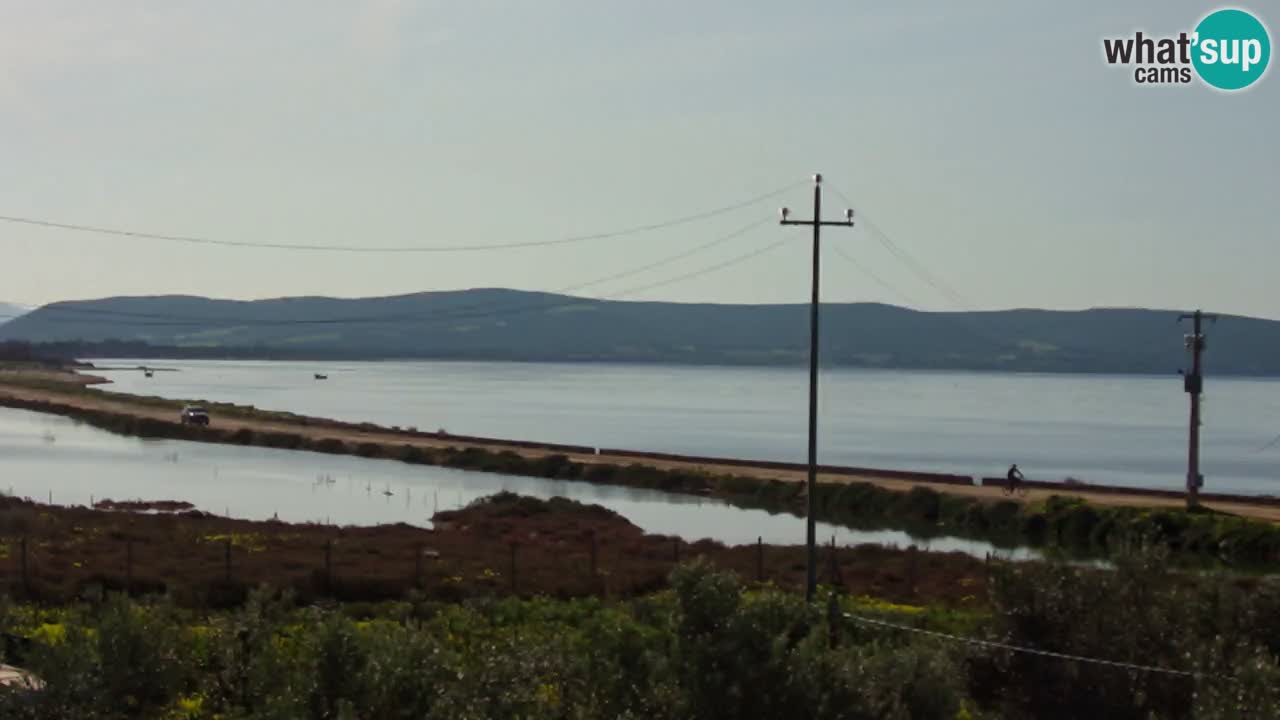 Plage Porto Botte webcam | Sardaigne