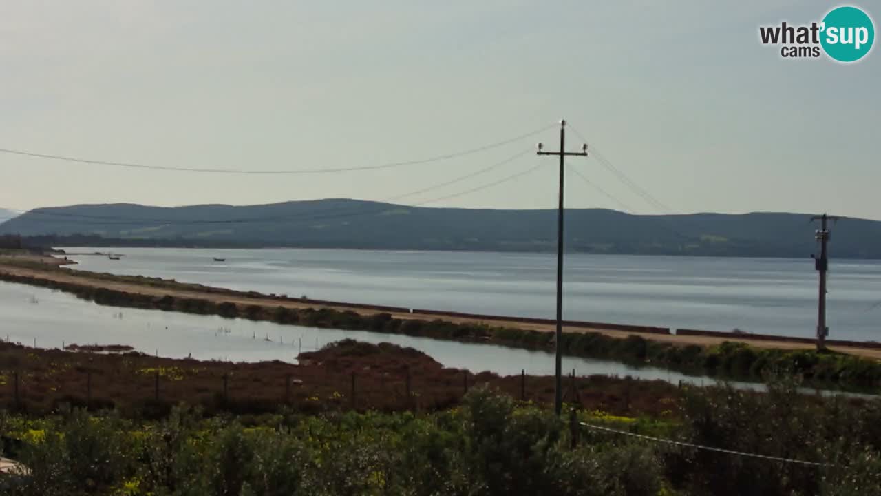 Webcam Porto Botte spiaggia | Sardegna