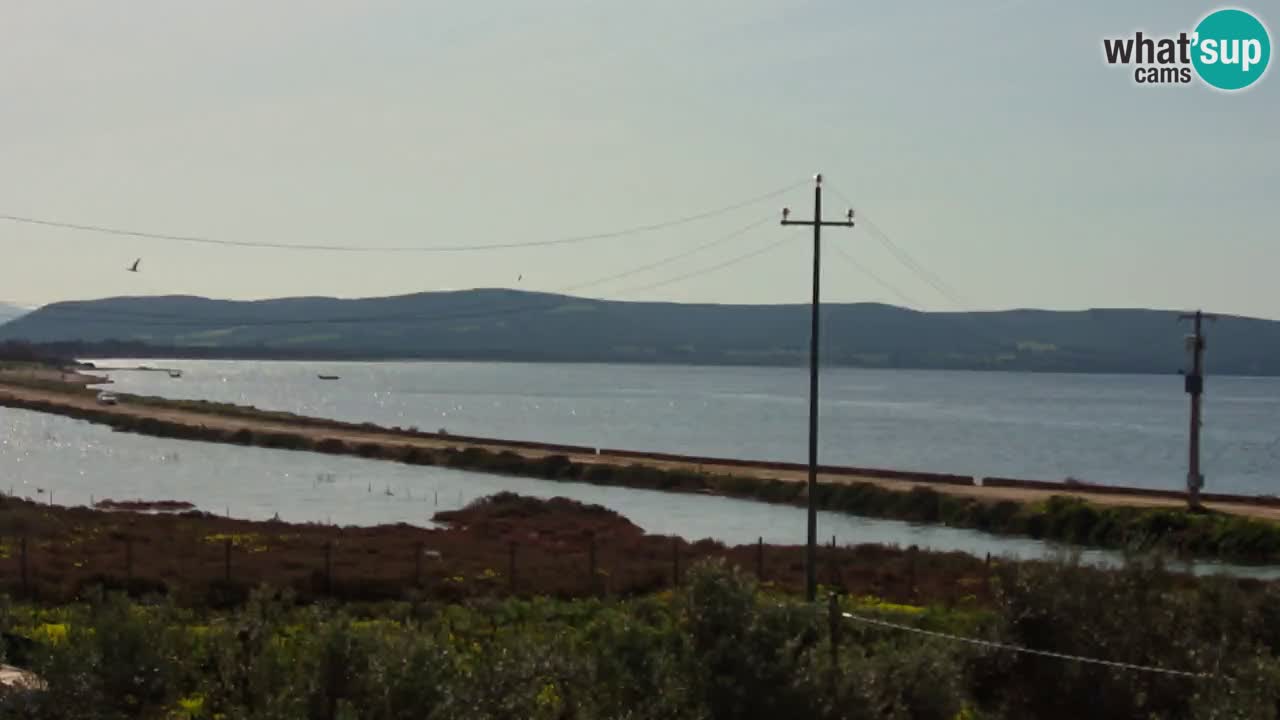 Spletna kamera Porto Botte plaža | Sardinija