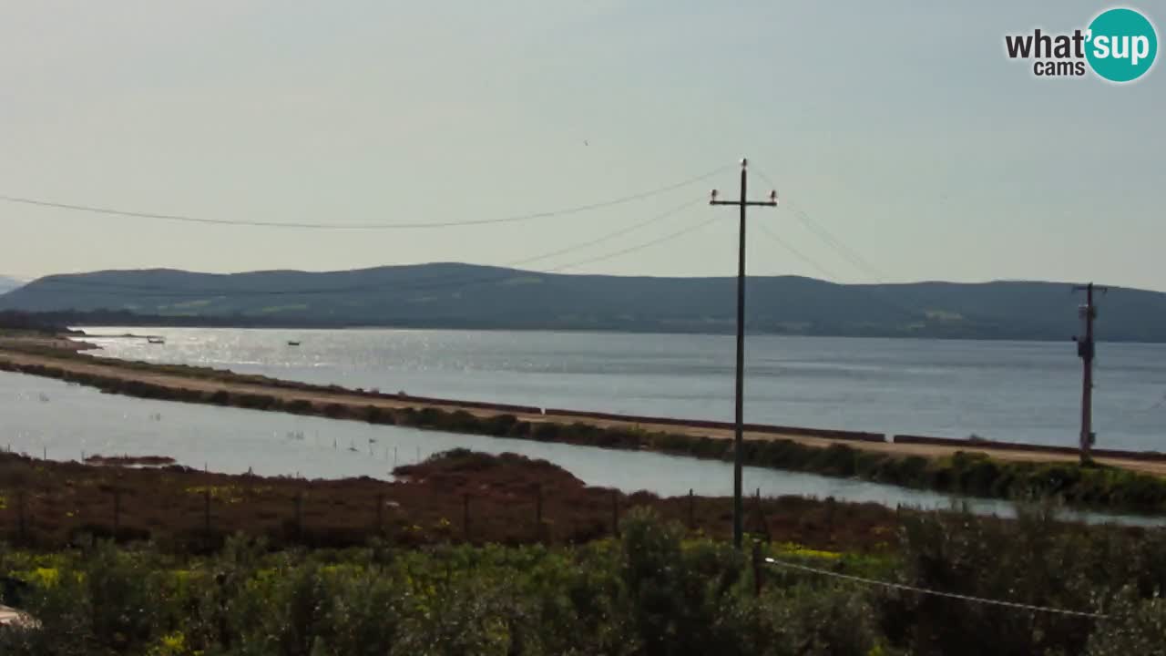 Playa Porto Botte webcam | Cerdena