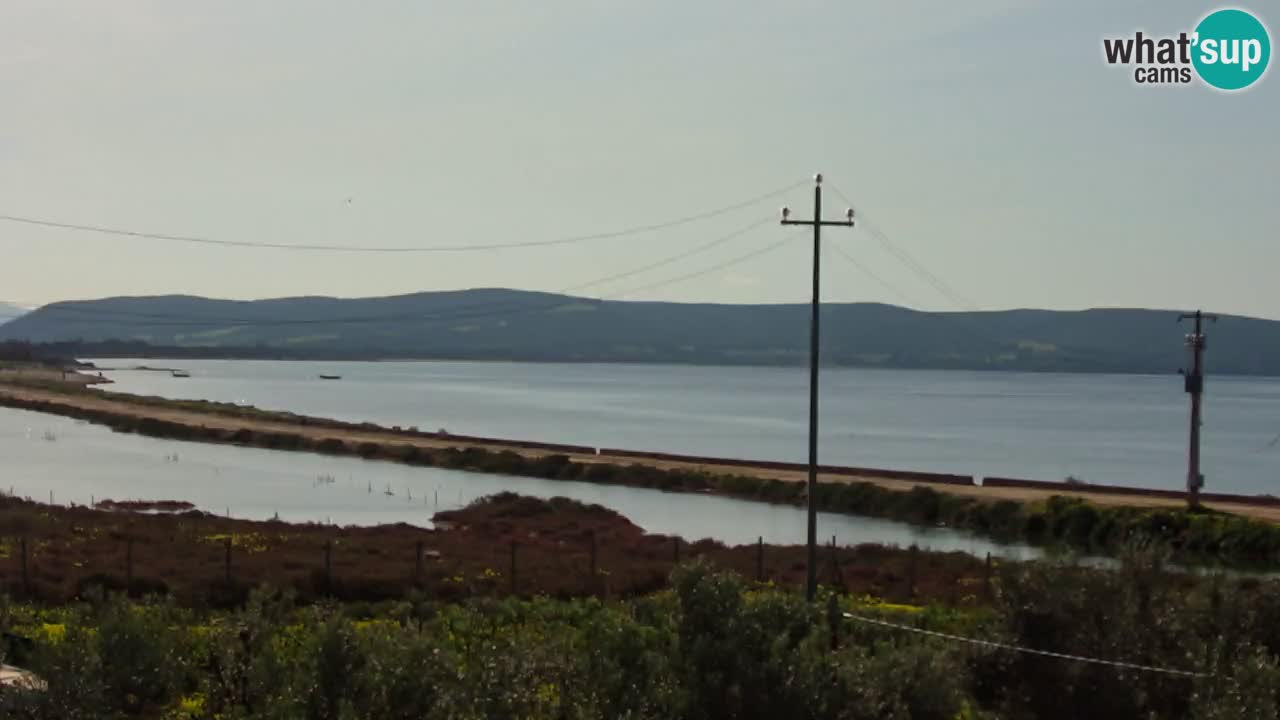 Playa Porto Botte webcam | Cerdena