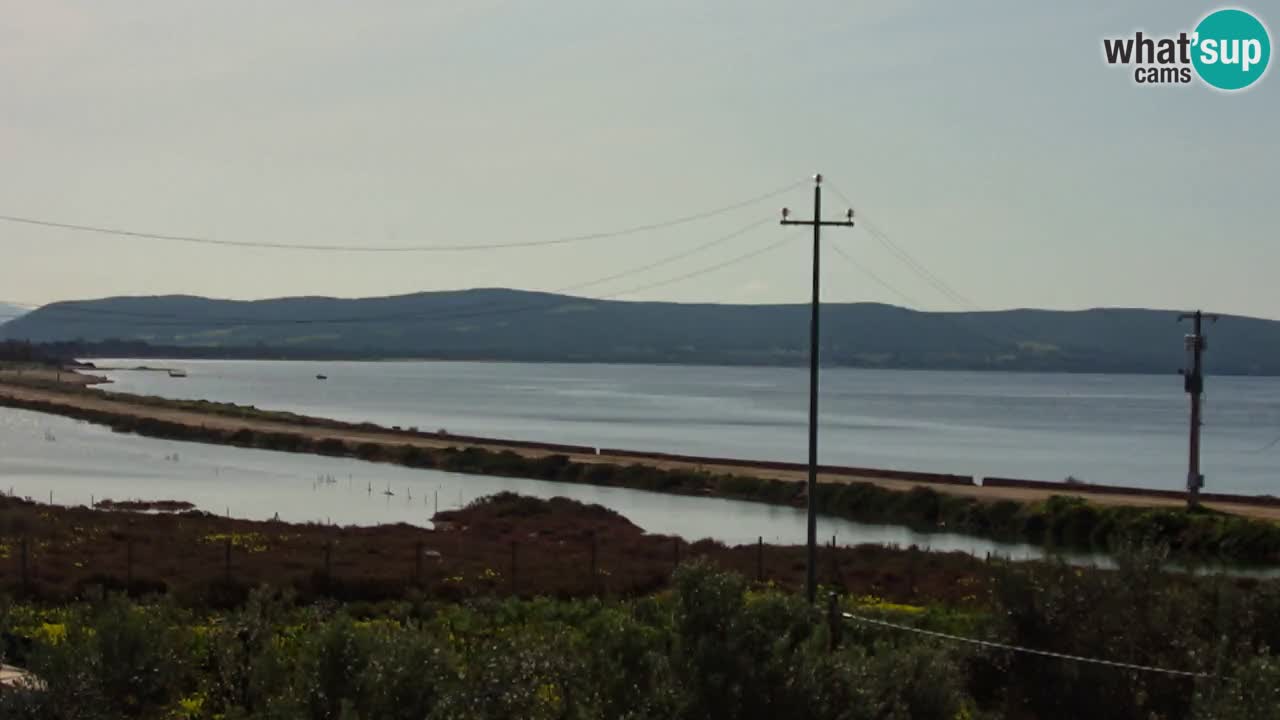 Playa Porto Botte webcam | Cerdena