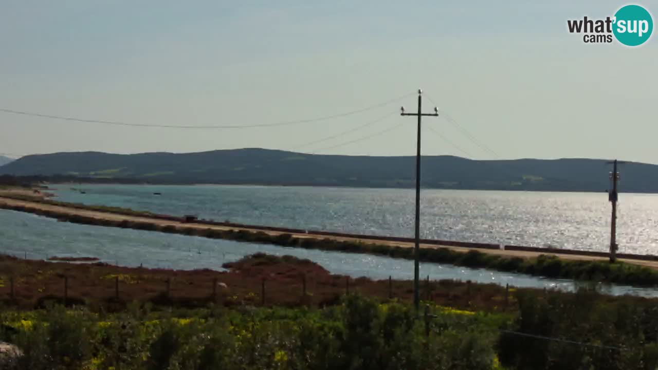 Webcam Porto Botte spiaggia | Sardegna