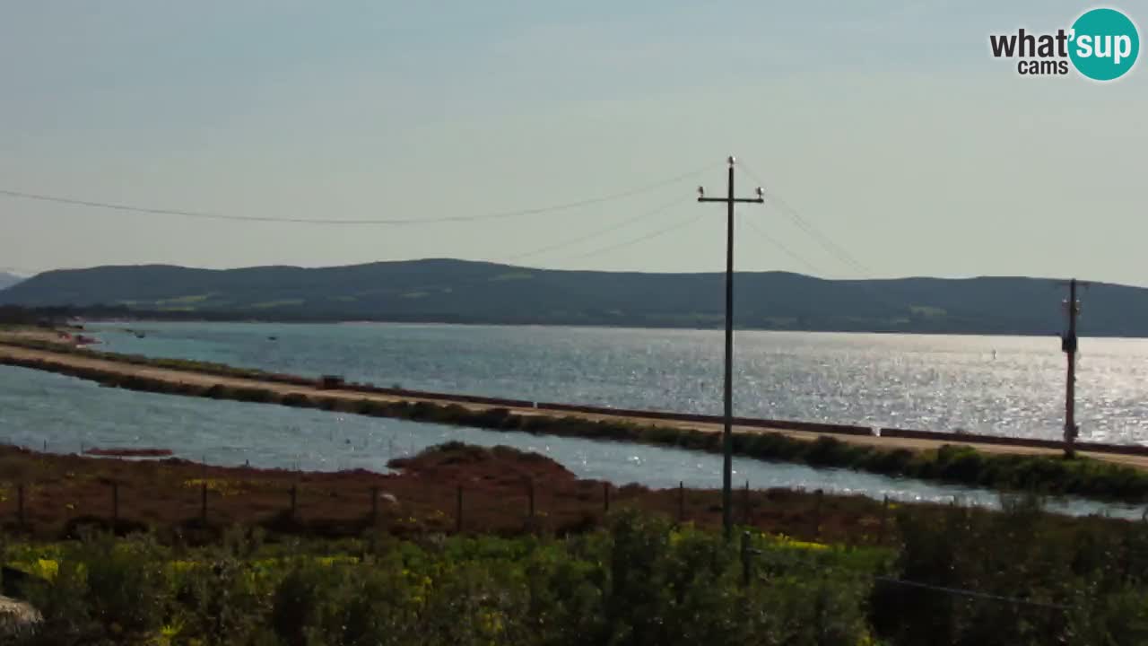 Beach Porto Botte webcam | Sardinia