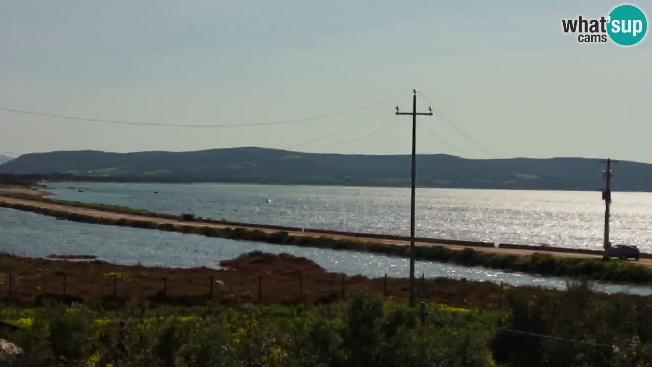 Webcam Porto Botte spiaggia | Sardegna