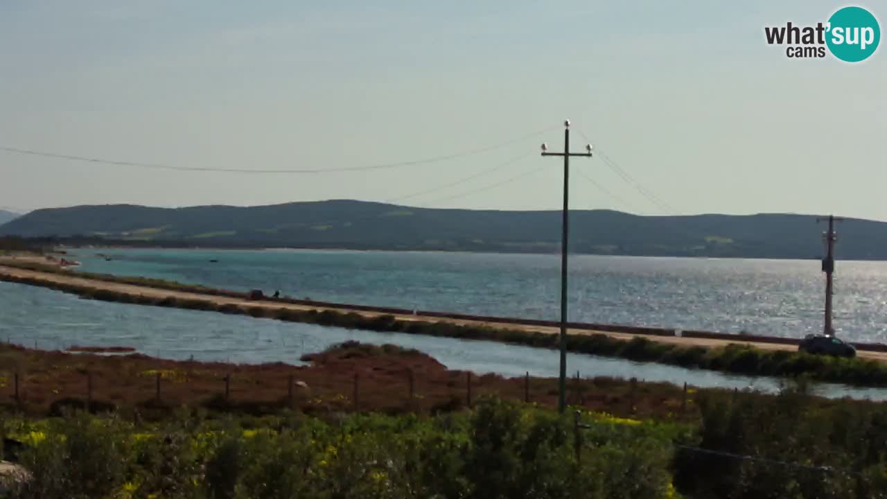 Playa Porto Botte webcam | Cerdena