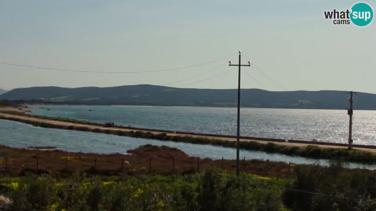 Beach Porto Botte webcam | Sardinia