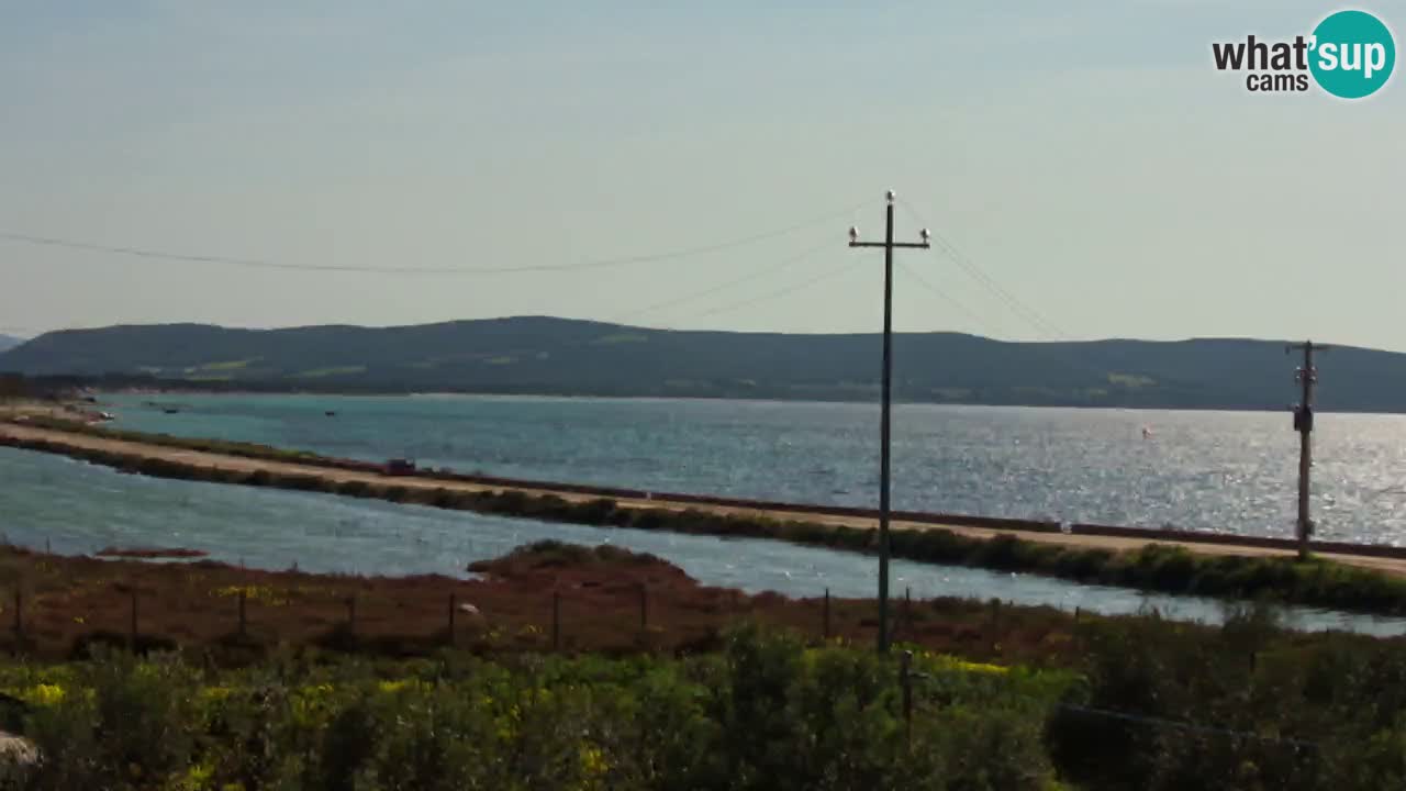 Strand Porto Botte webcam | Sardinien