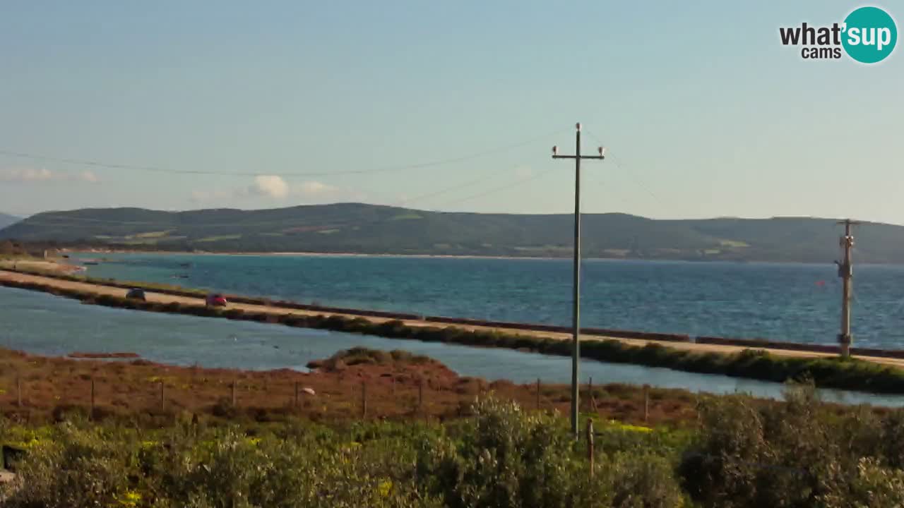 Beach Porto Botte webcam | Sardinia