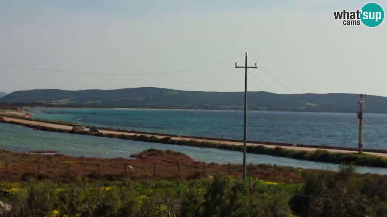 Beach Porto Botte webcam | Sardinia