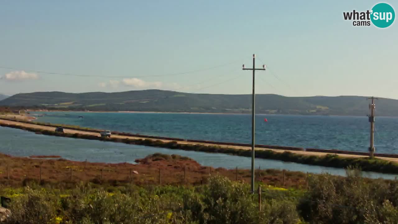 Plage Porto Botte webcam | Sardaigne