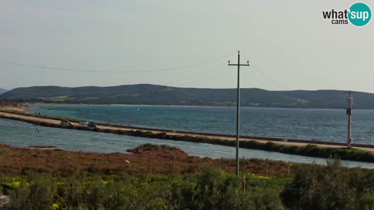 Playa Porto Botte webcam | Cerdena