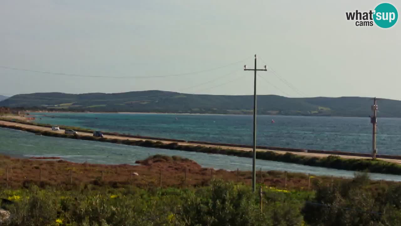 Beach Porto Botte webcam | Sardinia