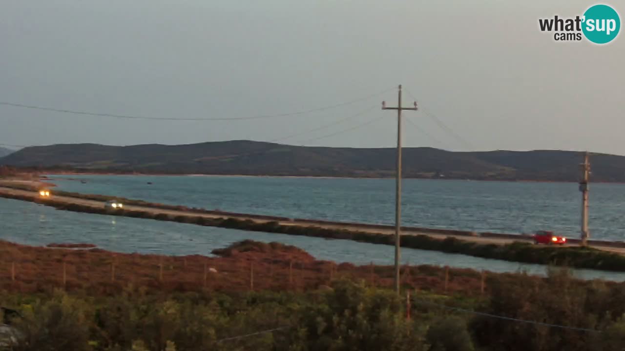 Strand Porto Botte webcam | Sardinien