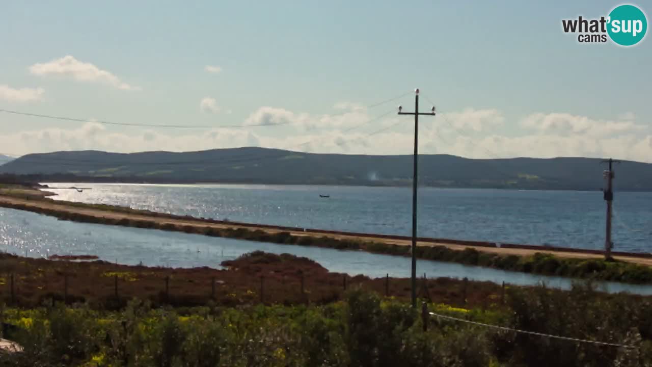 Plage Porto Botte webcam | Sardaigne