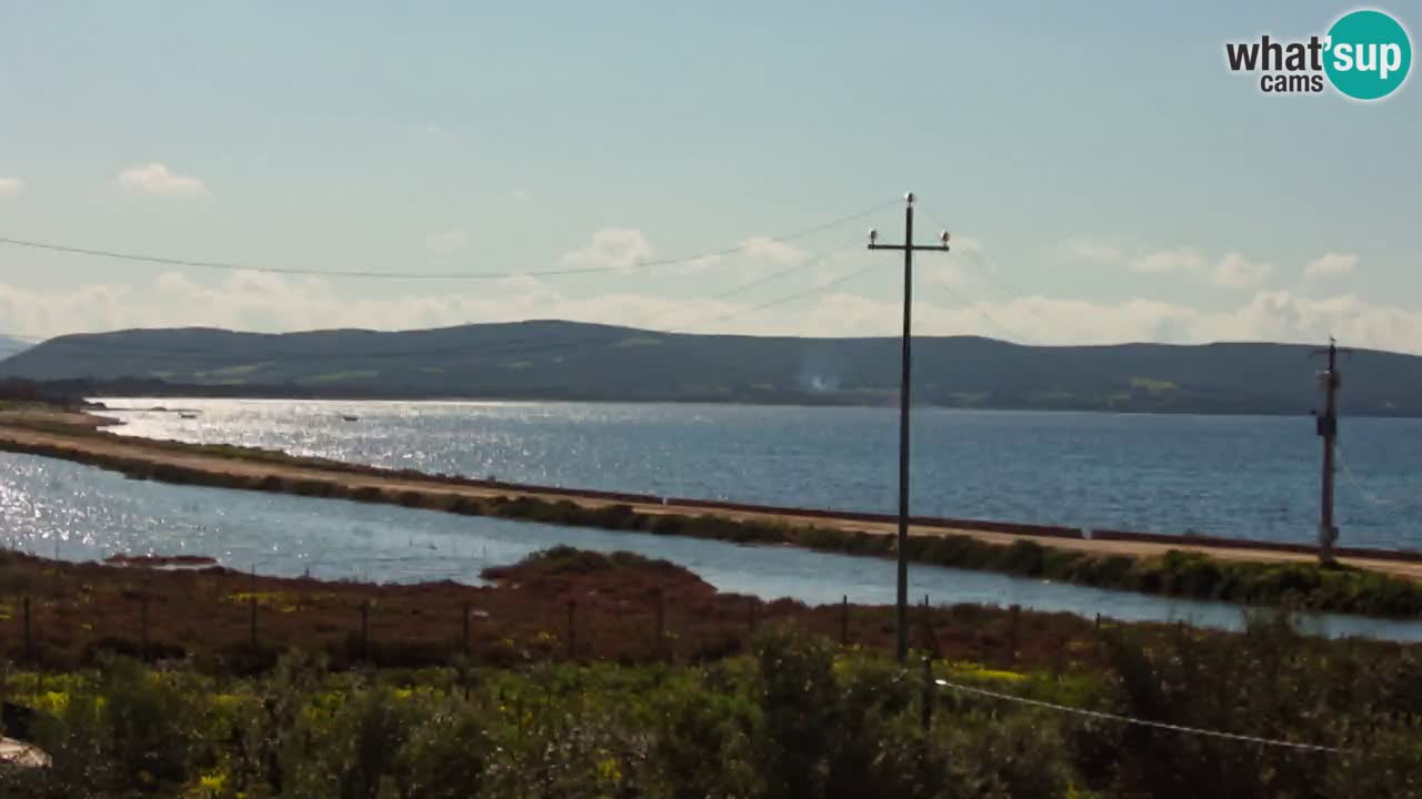 Spletna kamera Porto Botte plaža | Sardinija