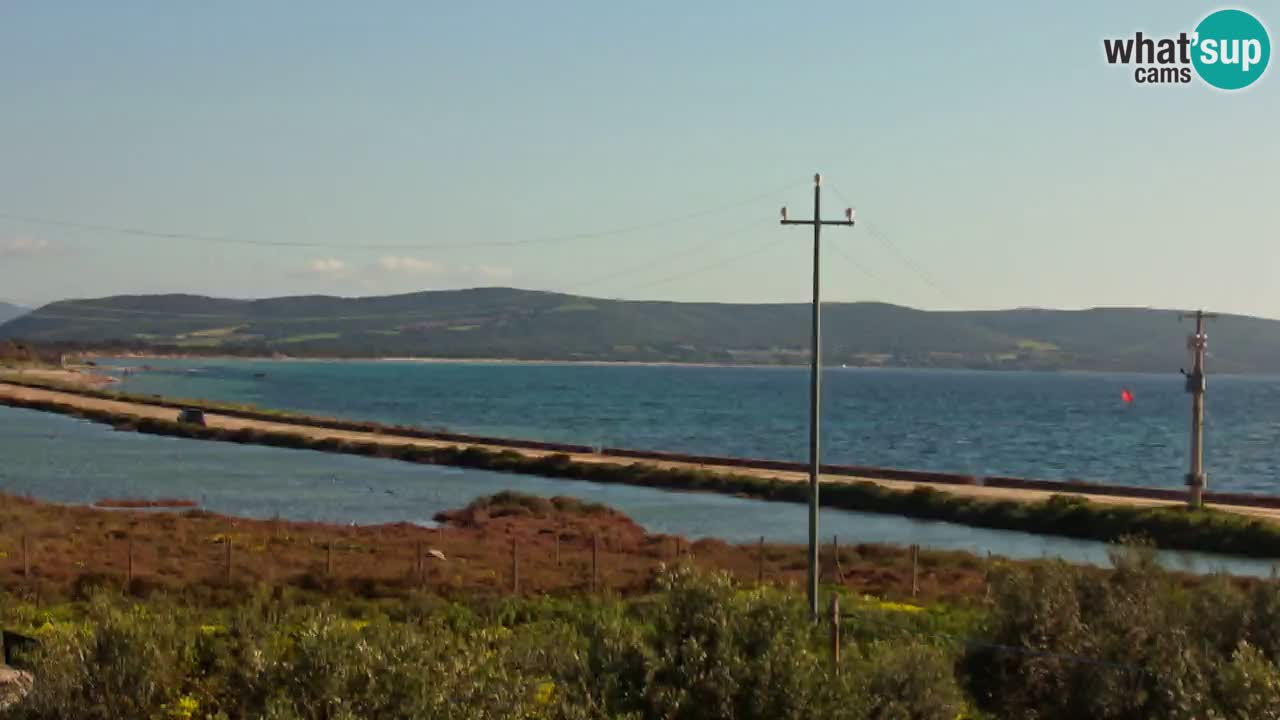 Strand Porto Botte webcam | Sardinien