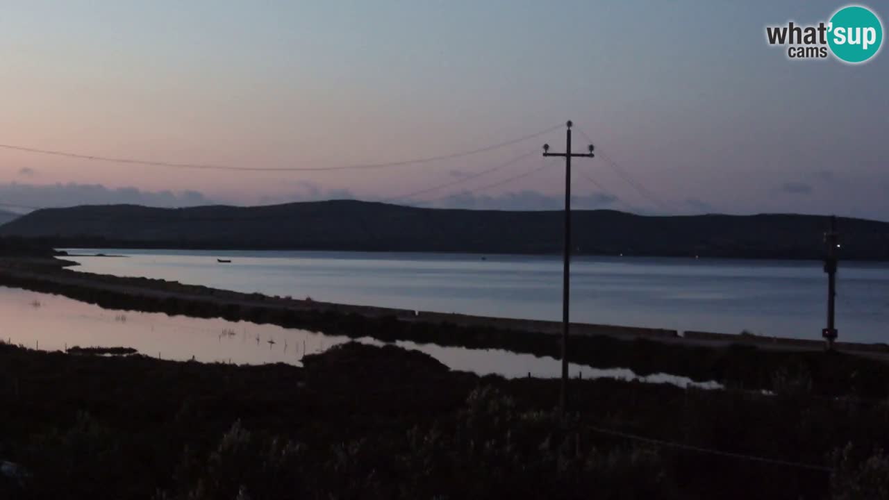 Beach Porto Botte webcam | Sardinia