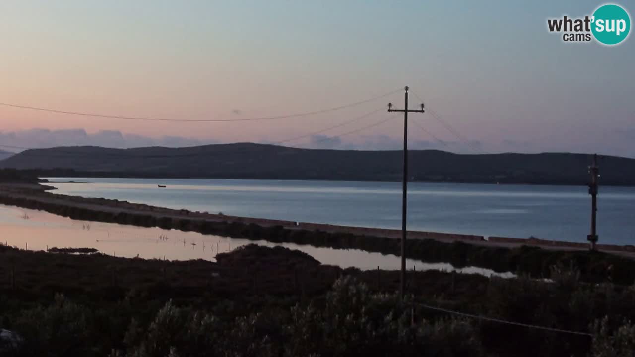 Playa Porto Botte webcam | Cerdena