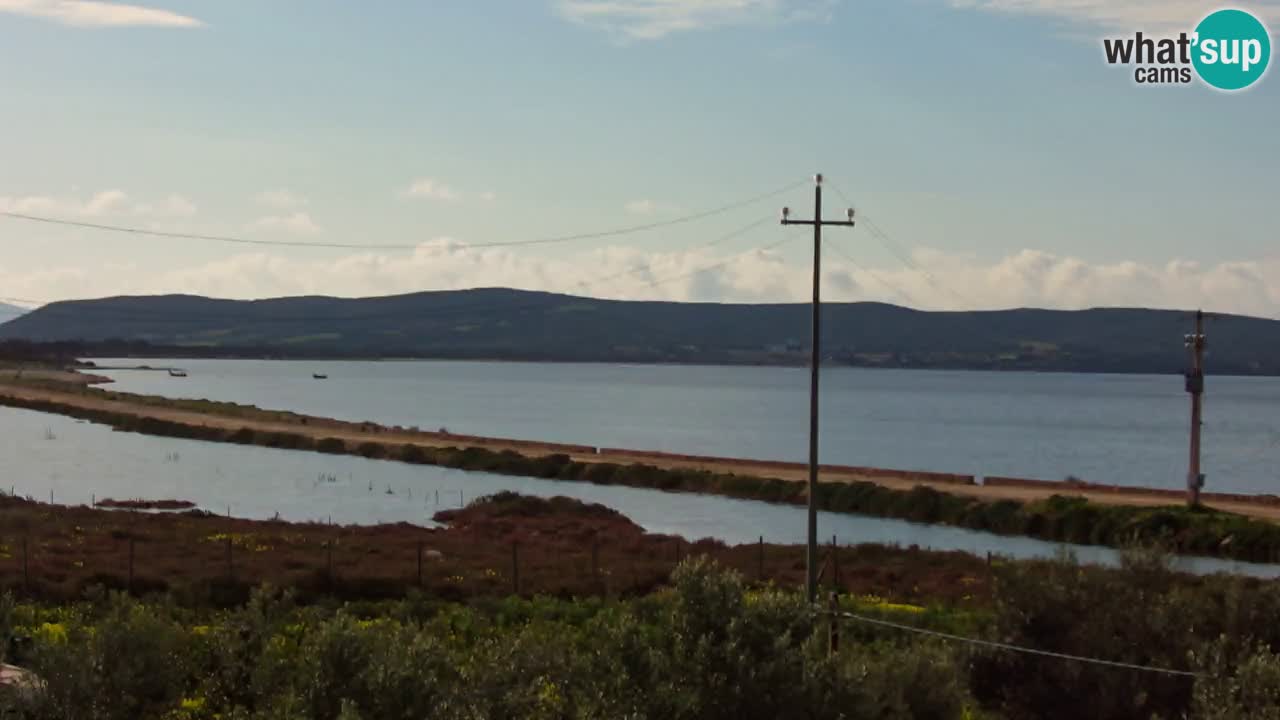 Plage Porto Botte webcam | Sardaigne