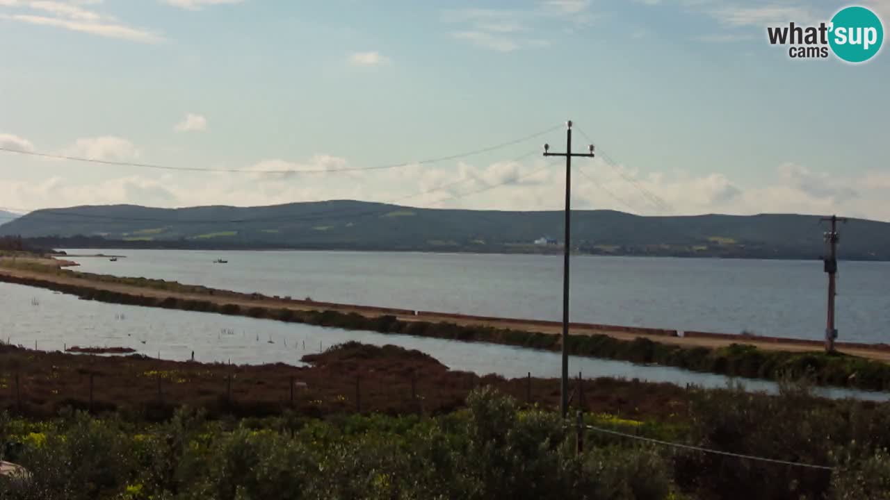 Strand Porto Botte webcam | Sardinien