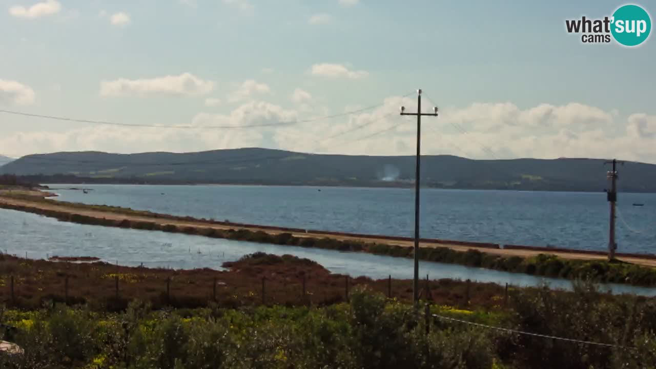 Strand Porto Botte webcam | Sardinien