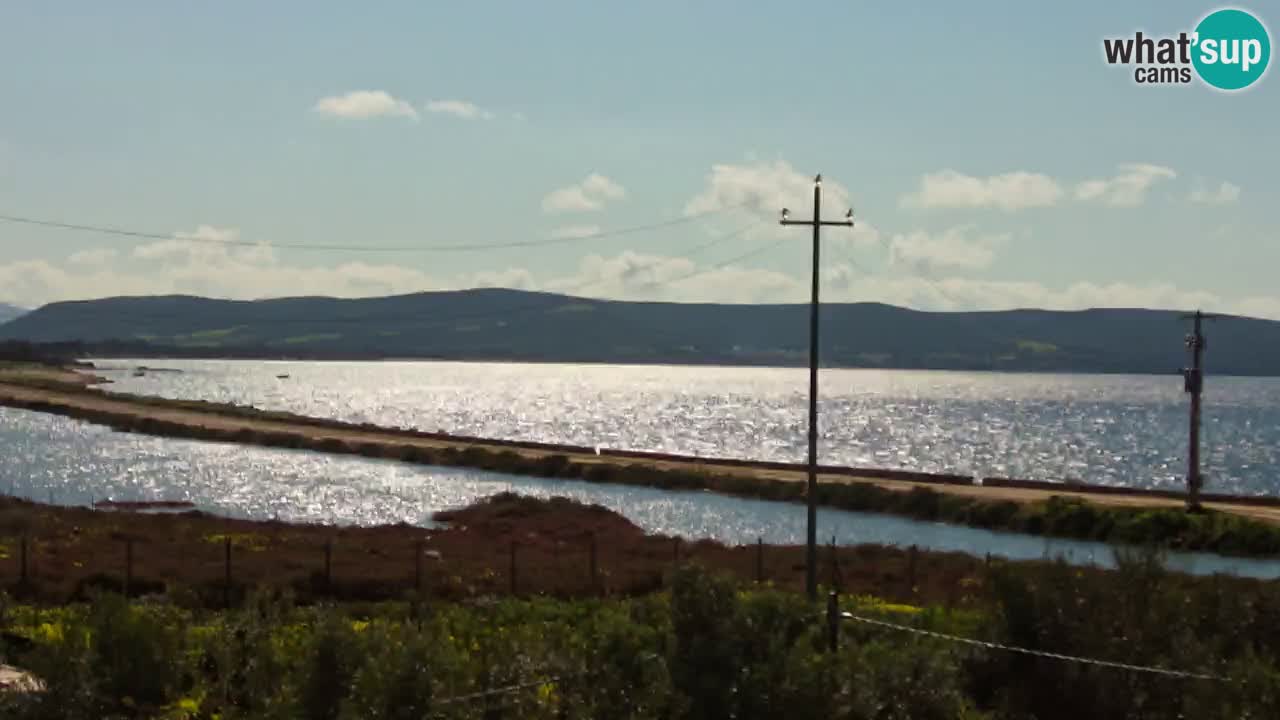 Playa Porto Botte webcam | Cerdena