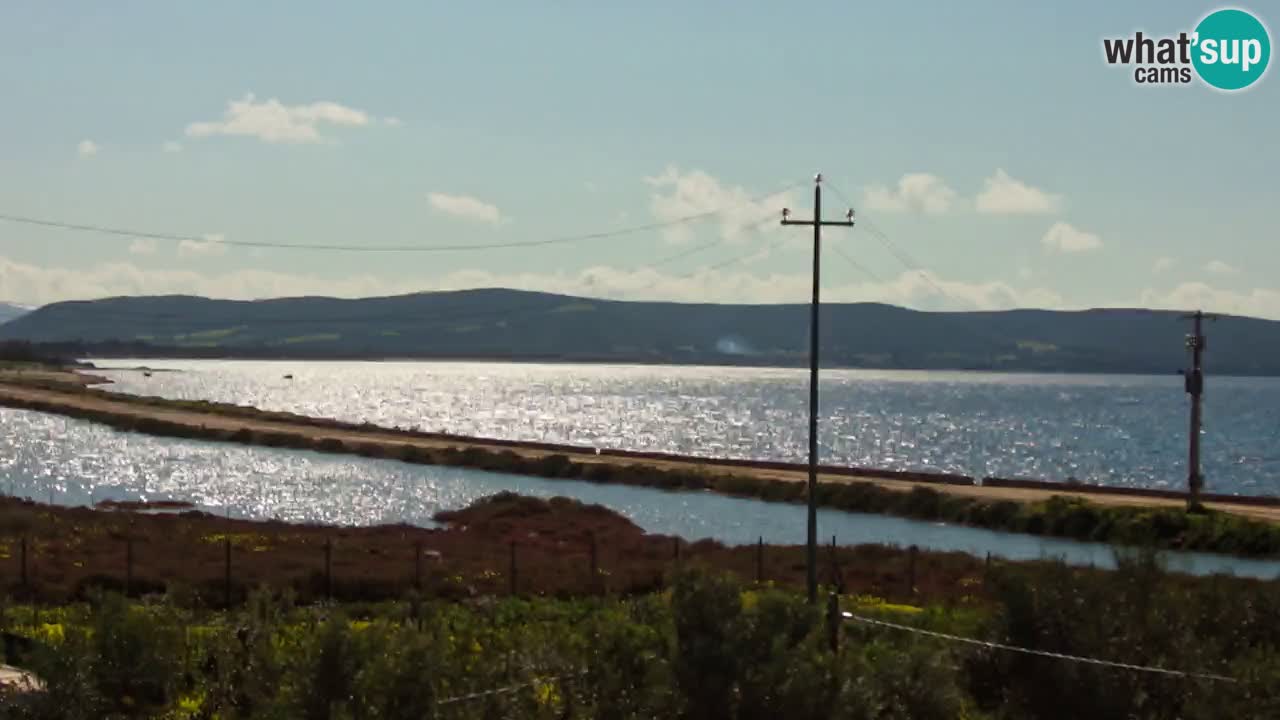 Spletna kamera Porto Botte plaža | Sardinija